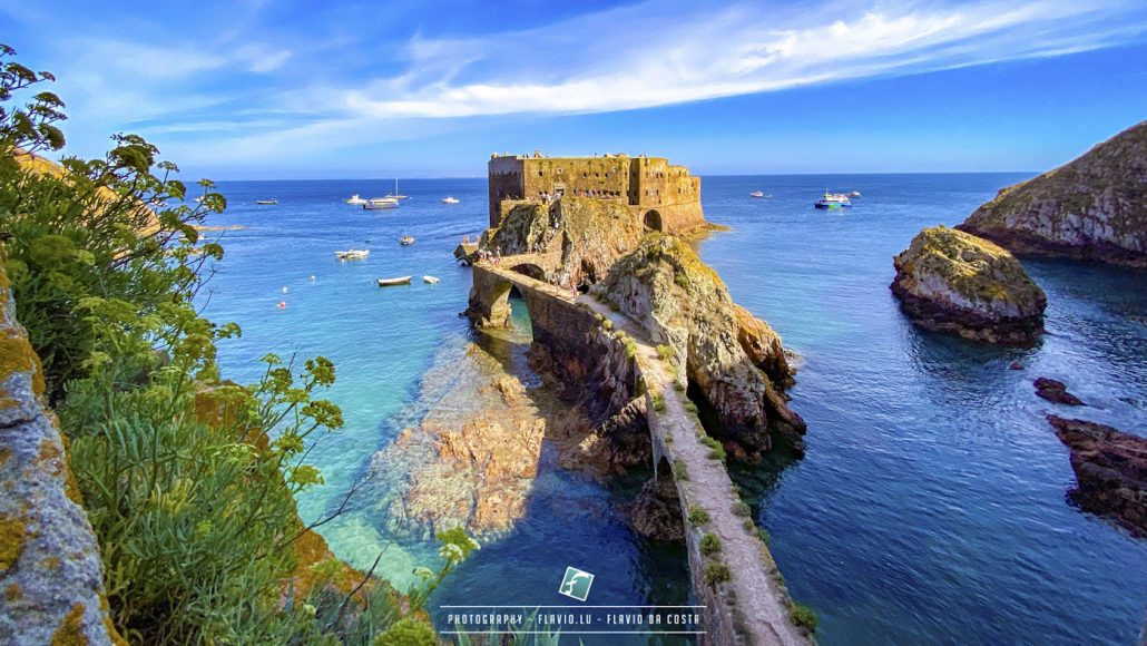 Berlengas - The Secret Islets off the Portuguese Coast - diariesof